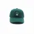 LionGP Hat in Green with Curved Brim